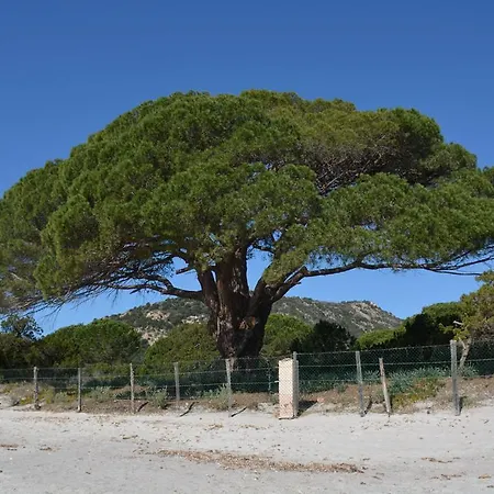 Villa Mini Des Bergeries De Palombaggia *